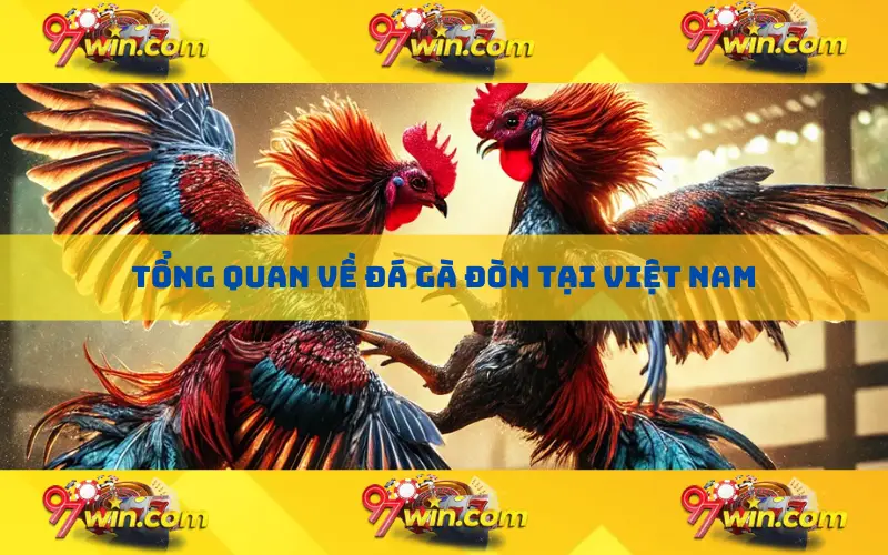 Tổng quan về đá gà đòn tại Việt Nam